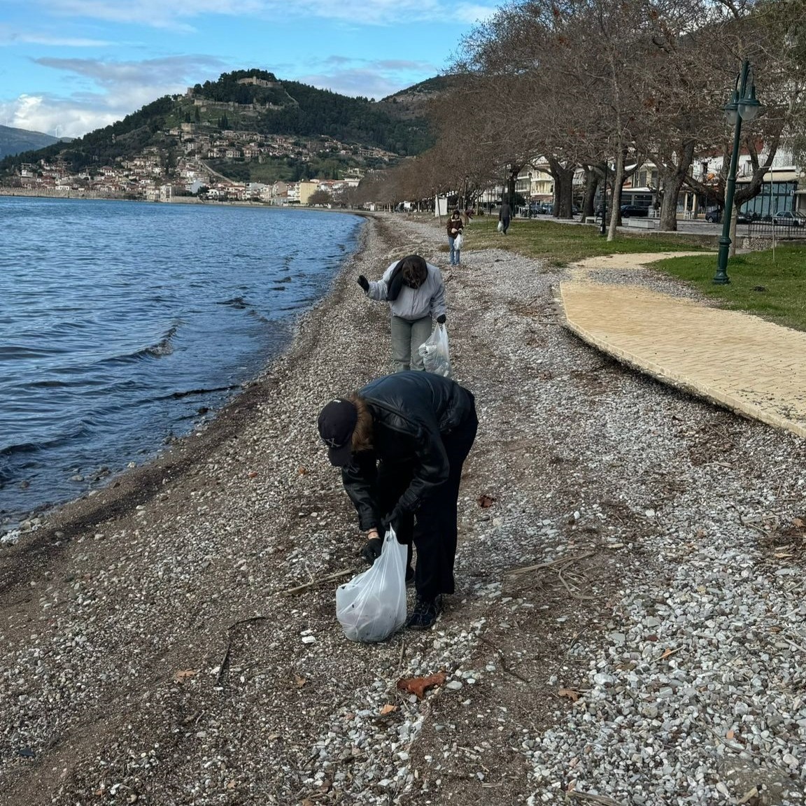 Plenary sharing — reflections and next steps