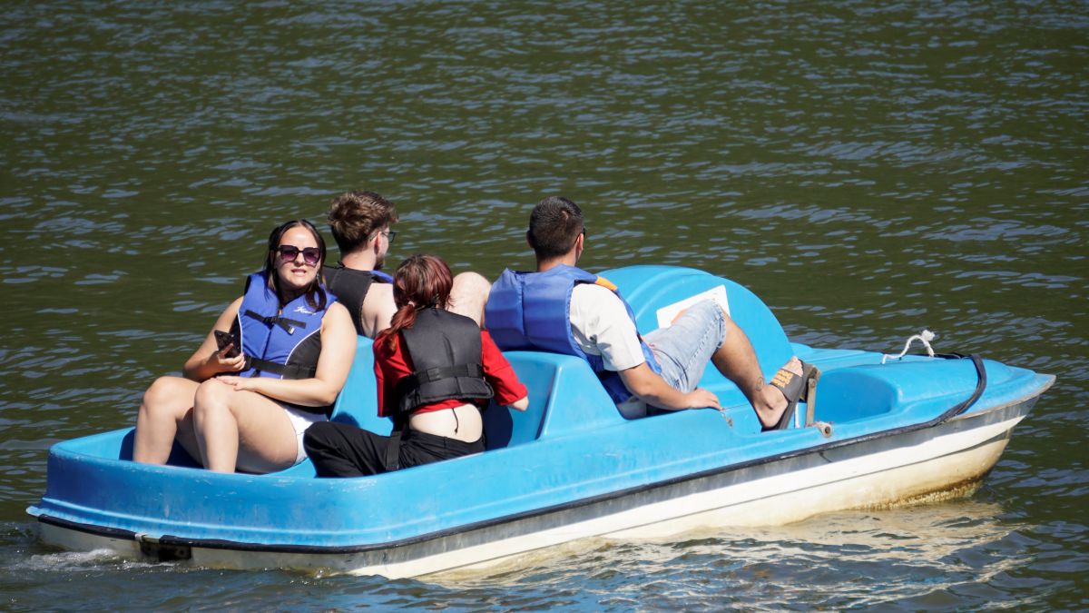 Prezentacja podczas warsztatów