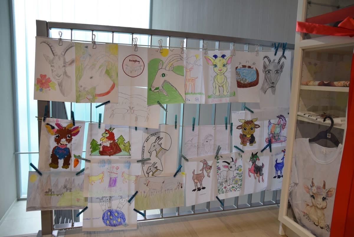 Prace plastyczne dzieci przedstawiające koziołki zawieszone na ekspozycji
